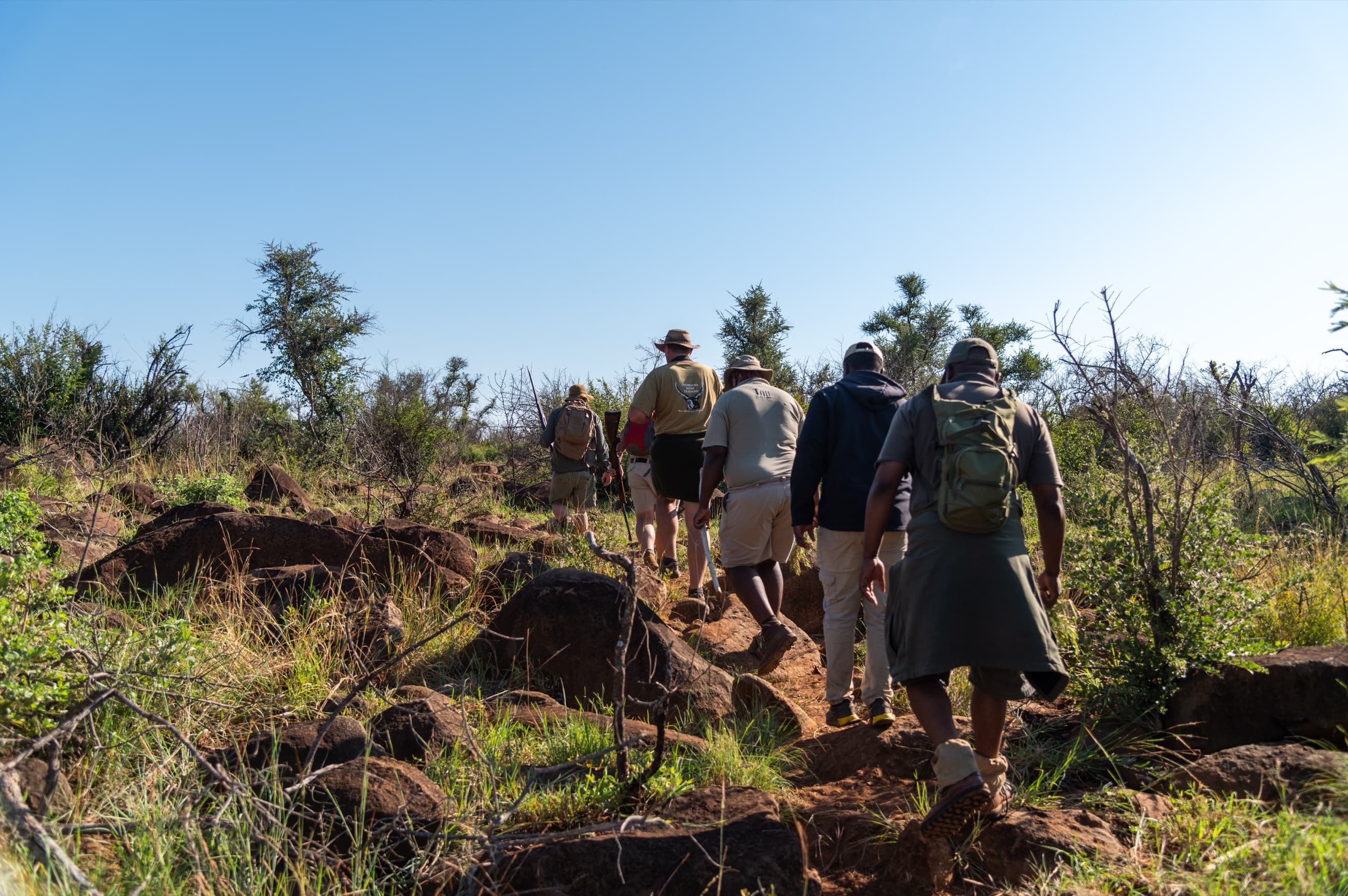 Safari Walks